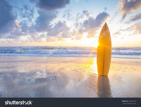 Surfboard